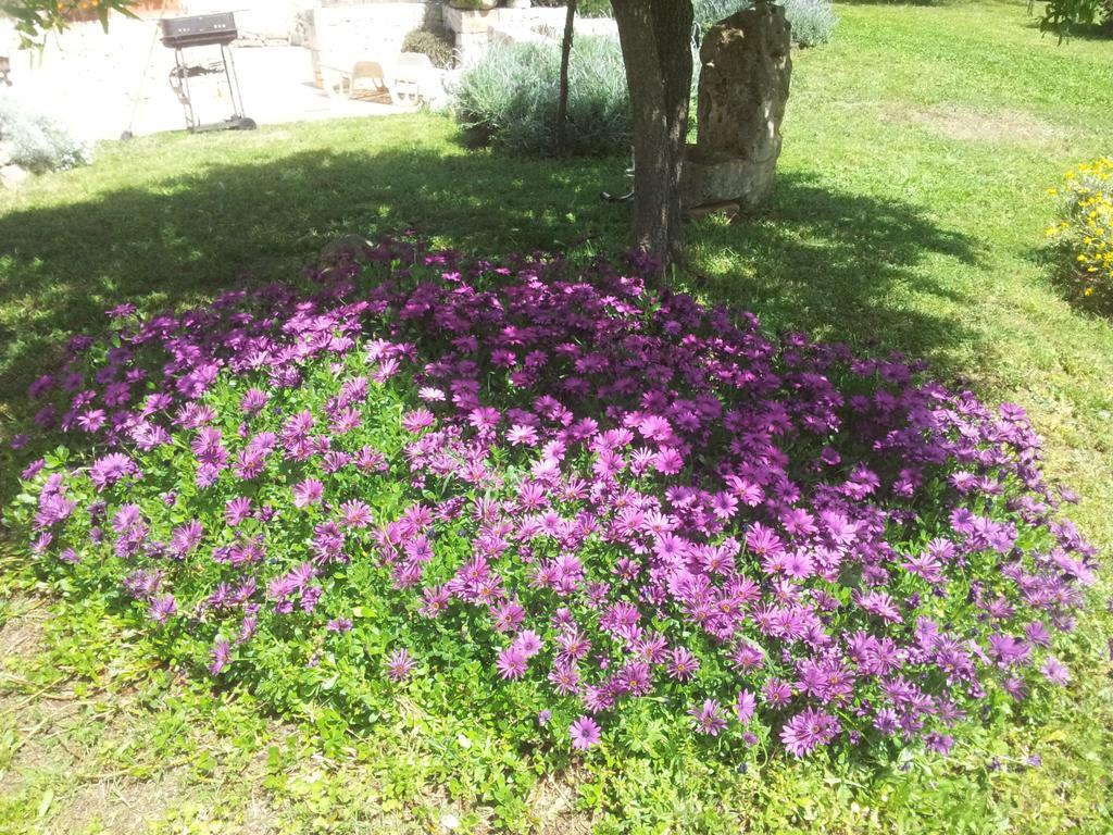 Willa Trulli La Gufa Ostuni Zewnętrze zdjęcie